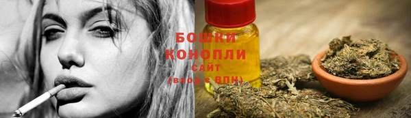 дмт Няндома