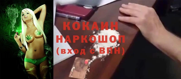 дмт Няндома