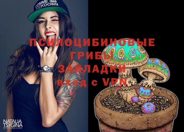 дмт Няндома