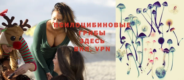 дмт Няндома