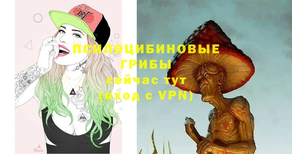 дмт Няндома